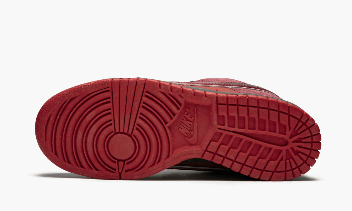 SB Dunk Low Premium "Red Lobster - Concepts" - View 6