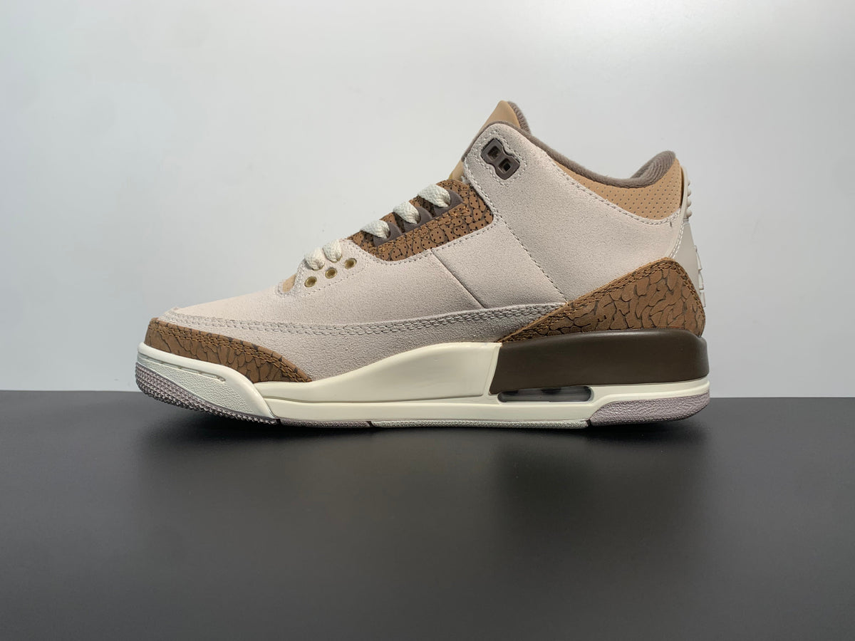 Air Jordan 3 Palomino CT8532-102 - Angle View 2