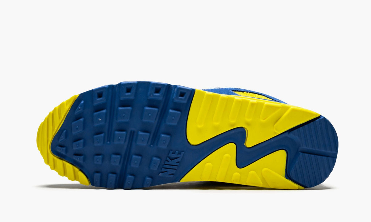 Air Max 90 QS "VIOTECH 2.0" - View 6