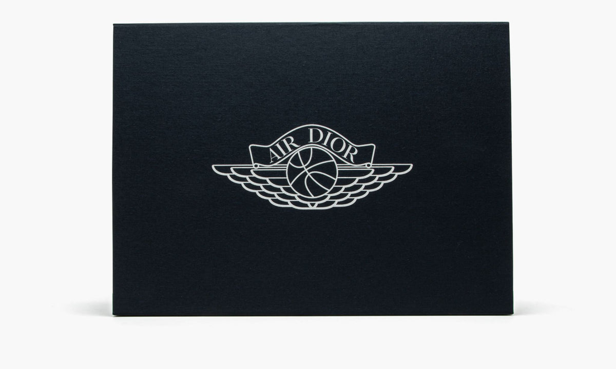 Dior x Air Jordan 1 High OG ‘White Wolf Grey’ - Angle View 7