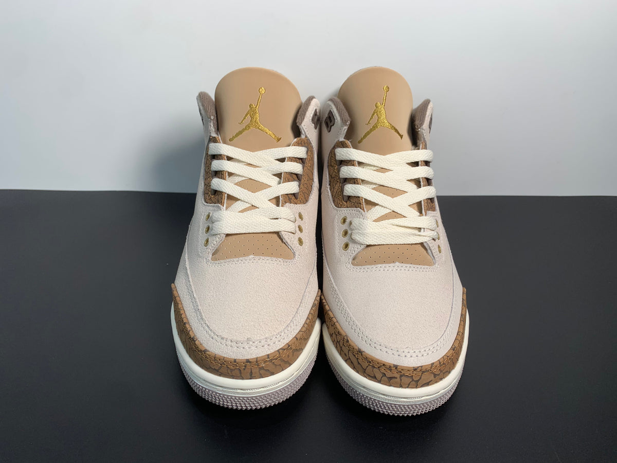 Air Jordan 3 Palomino CT8532-102 - Angle View 4