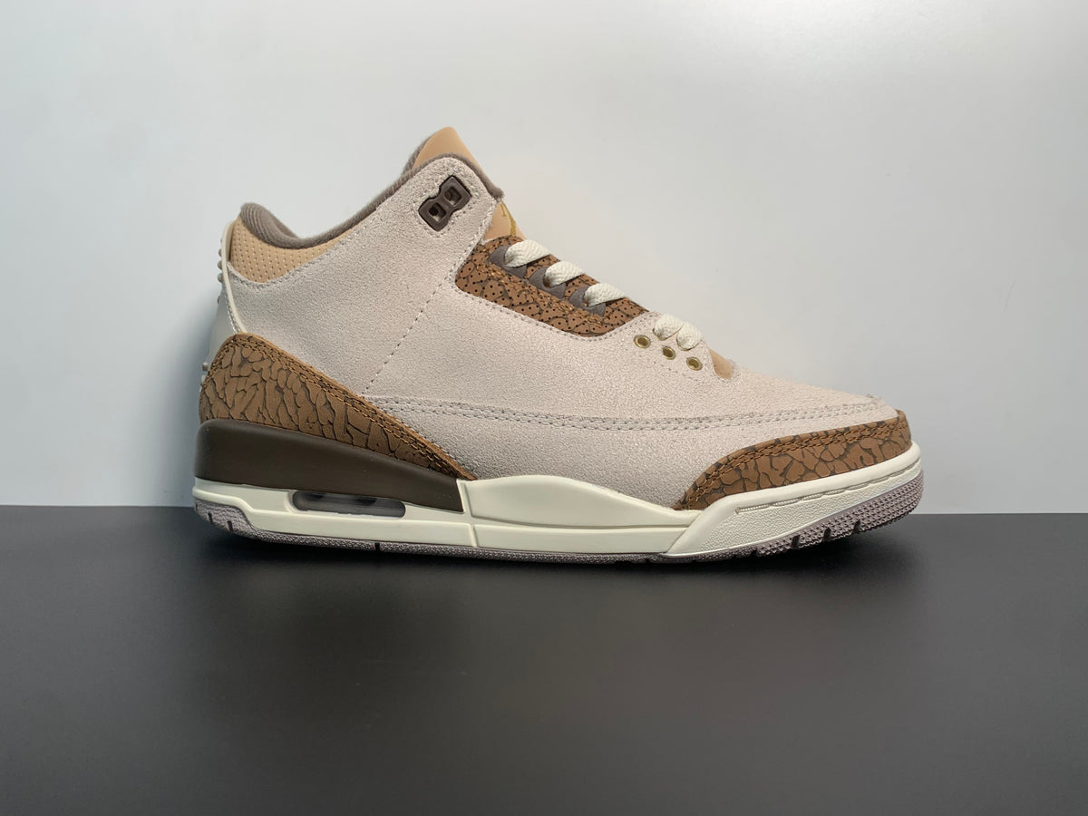 Air Jordan 3 Palomino CT8532-102 - Main View