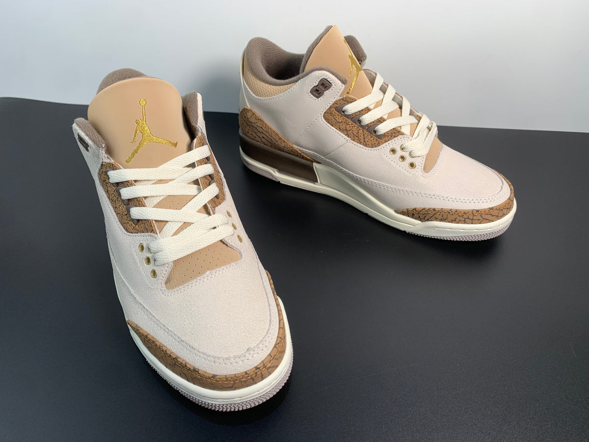 Air Jordan 3 Palomino CT8532-102 - Angle View 5