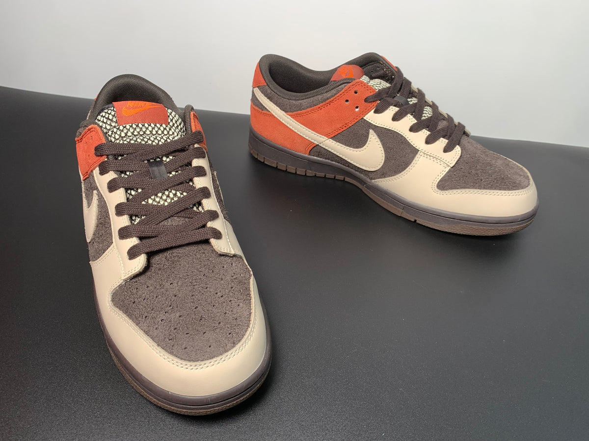 Nike Dunk Low “Red Panda” FV0395-200 - View 5