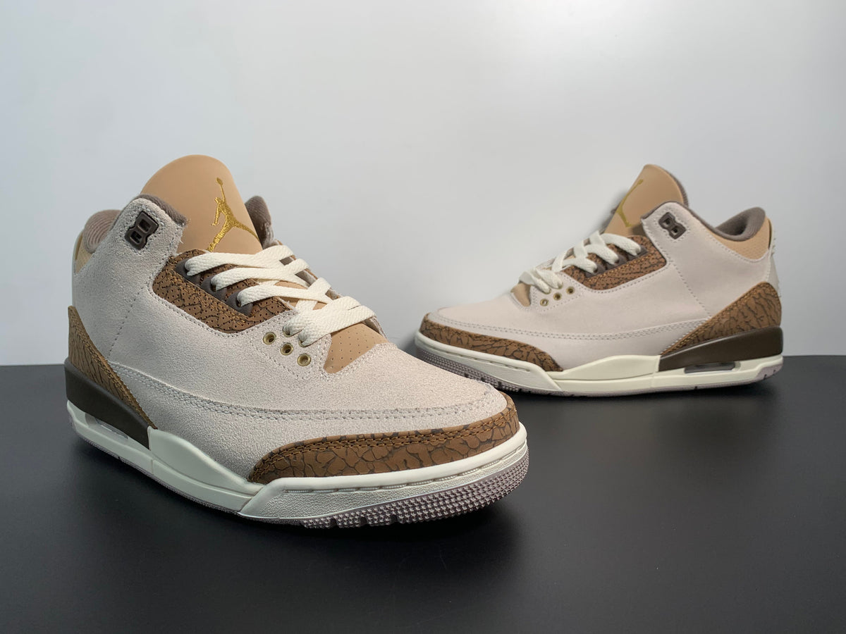 Air Jordan 3 Palomino CT8532-102 - Angle View 3